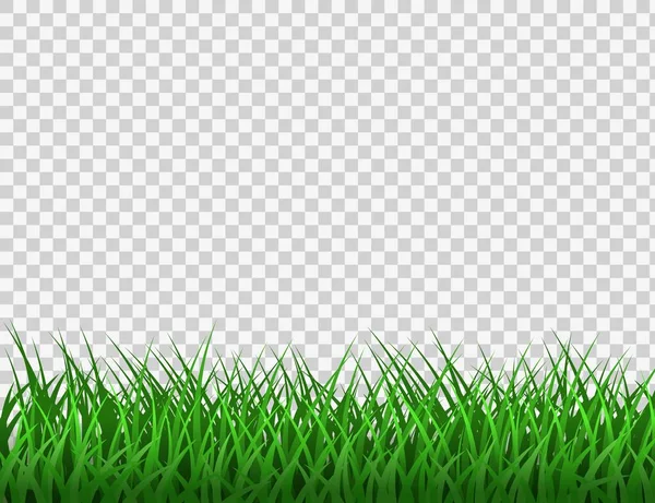 緑の草。春のエコの背景。草の境界ベクトルのクリップ. — ストックベクタ