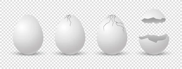 Huevos rotos. Rompe la cáscara de huevo. Vector realista rotura cáscara blanca sobre fondo transparente. — Vector de stock