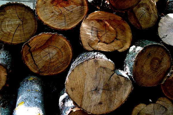 Logs Section Freshly Lumberjack Section Nature Log Tree Texture Brown — Stock Photo, Image