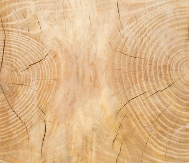 ahşap arka plan ile deniz mili