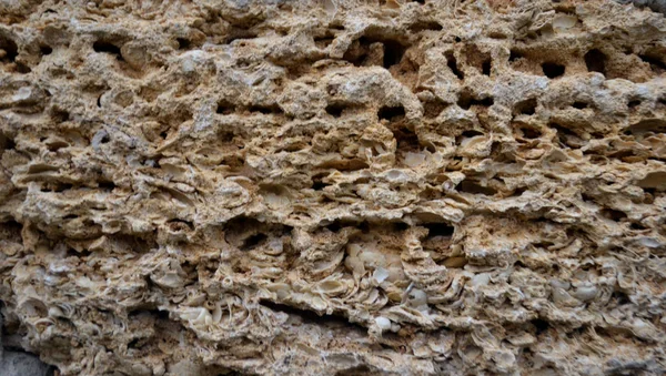  volkanik kaya, doğal ahşap dokusu, Brezilya'nın ayrıntılarını parke parke zemin doğal ahşap doğal ormanlar