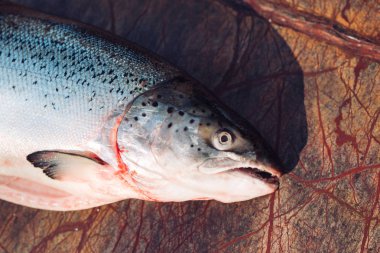 Ahşap tahta üzerinde taze çiğ somon Close-up