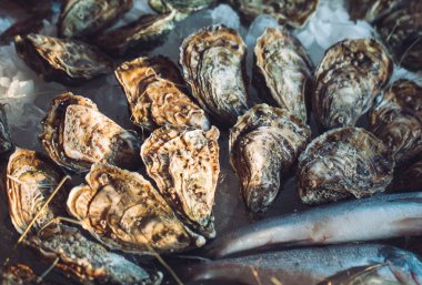 buz üzerinde taze çiğ istiridyelerin yakın çekim