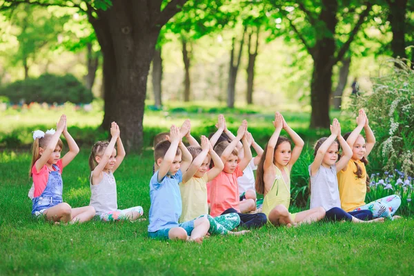 Велика Група Дітей Які Займаються Йогою Парку Сидять Траві — стокове фото