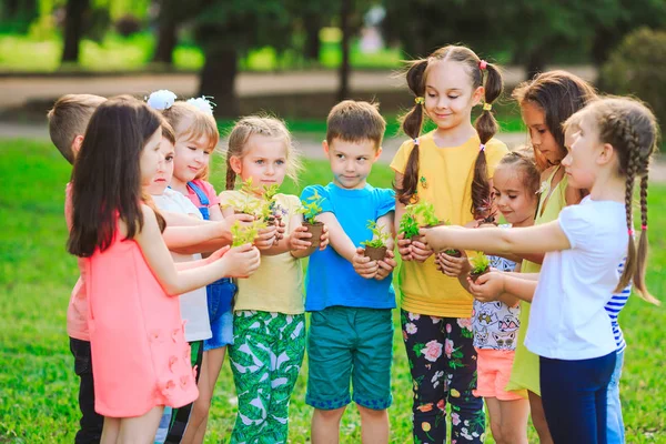 People Hands Cupping Plant Nurture Environmental — Stock Photo, Image