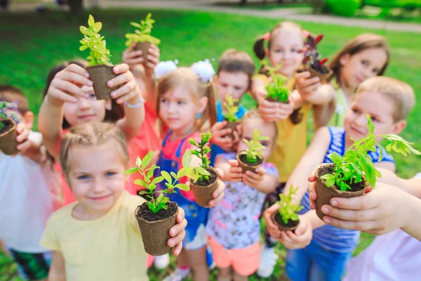 People Hands Cupping Plant Nurture Environmental