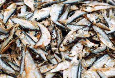 Taze çiğ balık hamsi Balık Market