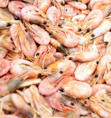 Yığın lezzetli haşlanmış karides Close-up