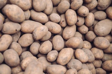 Taze kirli patates yığın halinde aldı.