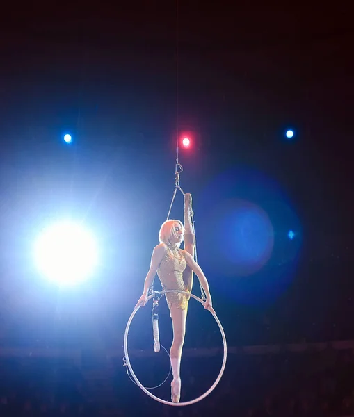 Acróbata Aérea Ring Una Chica Joven Realiza Los Elementos Acrobáticos — Foto de Stock