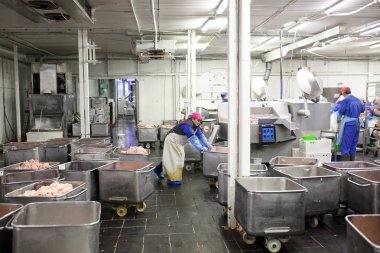 Öğütücüdeki et. Et endüstrisi..