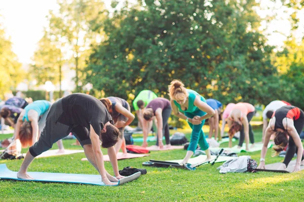 A group of young people do yoga in the Park at sunset.