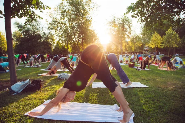 一群年轻人在日落时分在公园里做瑜伽 — 图库照片