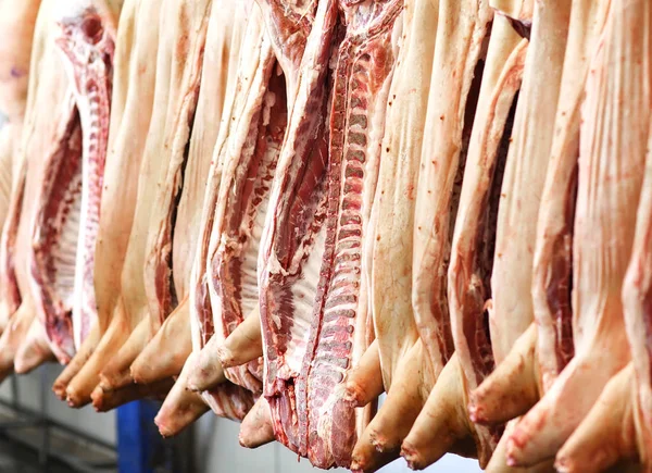 Cadenas Cerdo Cortadas Por Mitad Almacenadas Sala Refrigeración Planta Procesamiento — Foto de Stock