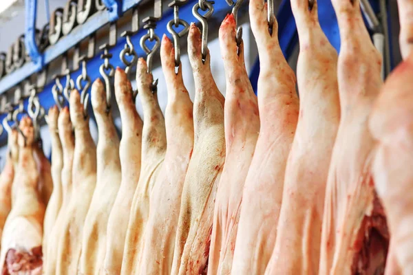 Domuz Leşleri Buzdolabı Gıda Işleme Tesisi Odasında Depolanan Ikiye Böldüm — Stok fotoğraf