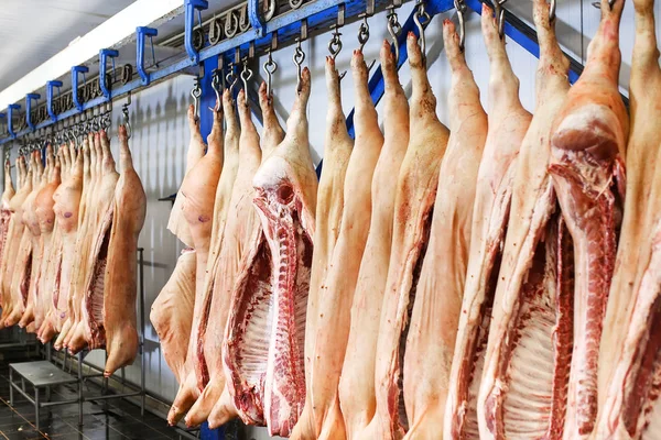 Cadenas Cerdo Cortadas Por Mitad Almacenadas Sala Refrigeración Planta Procesamiento — Foto de Stock