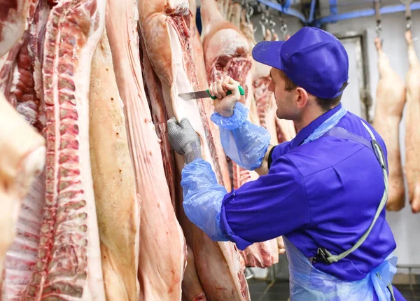 Butcher Cutting Pork Meat Manufacturing — Stock Photo, Image