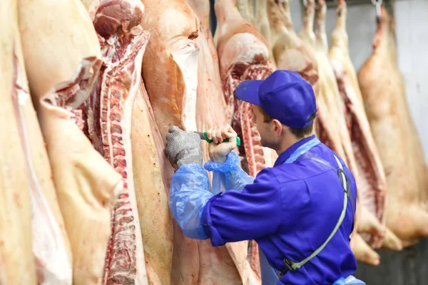 Découpe Porc Boucher Lors Fabrication Viande — Photo
