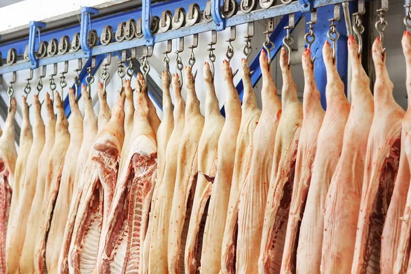 Cadenas Cerdo Cortadas Por Mitad Almacenadas Sala Refrigeración Planta Procesamiento — Foto de Stock
