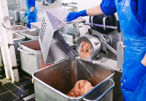 Carne Grinder Industria Cárnica — Foto de Stock