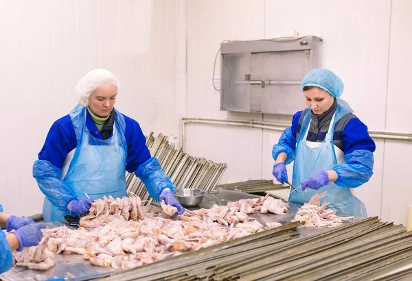 Lavoratori Che Lavorano Impianto Carne Pollo — Foto Stock