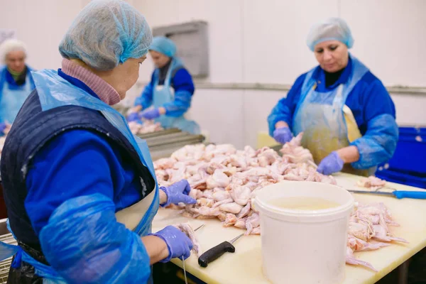 Workers Working Chicken Meat Plant — Stock Photo, Image