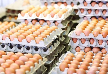 yığılmış karton kutular içinde çiğ yumurta