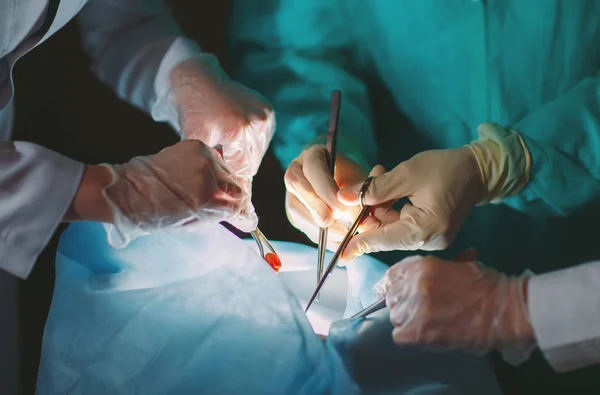 Manos Cerca Cirujanos Sosteniendo Instrumentos Médicos Cirujano Hace Una Operación —  Fotos de Stock
