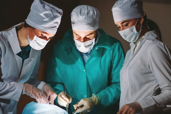 Surgeon Makes Operation — Stock Photo, Image