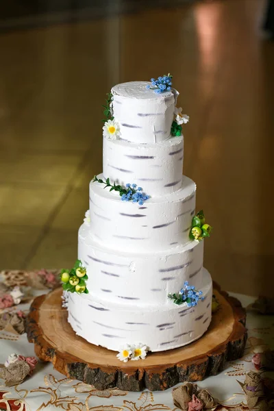 Rustikální dort s břízem a sladkým mouchem. — Stock fotografie