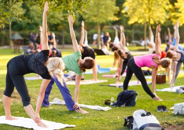 Büyük bir grup yetişkin parkta yoga dersine katılıyor.