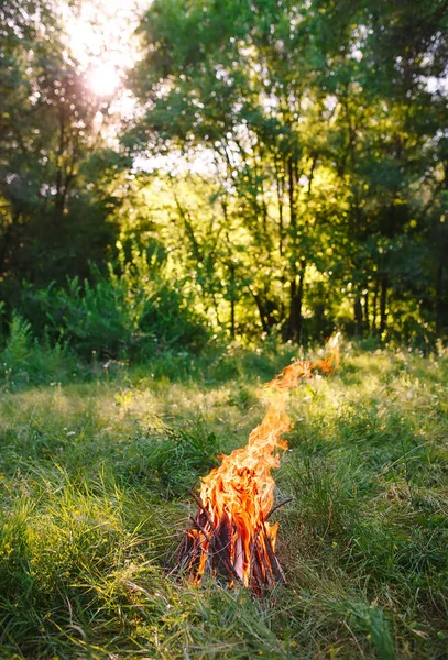 Fogueira na noite de verão na floresta — Fotografia de Stock