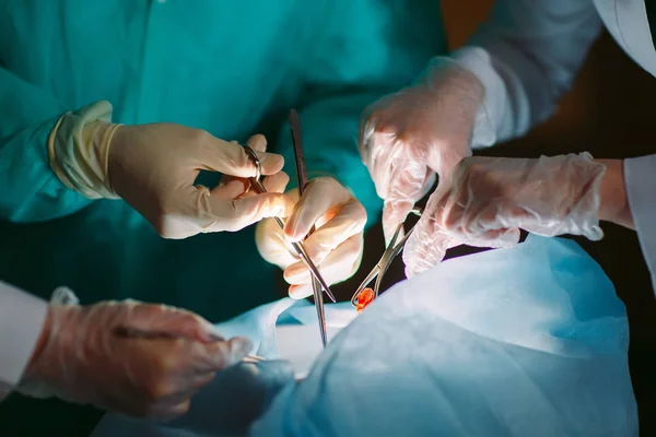 Cerrahlar tıp aletleri tutan eller close-up. Cerrah ameliyat yapar