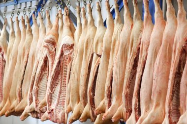Domuz leşleri buzdolabı gıda işleme tesisi odasında depolanan ikiye böldüm