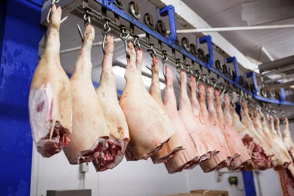 Cadenas de cerdo cortadas por la mitad almacenadas en la sala de refrigeración de la planta de procesamiento de alimentos . — Foto de Stock