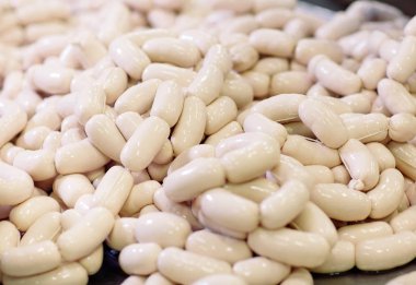 sosis, Gıda Üretim Fabrikası yapım.