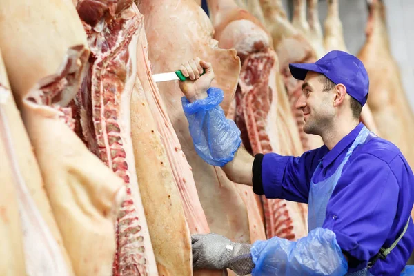 Carnicero cortando carne de cerdo en la fabricación de carne . — Foto de Stock