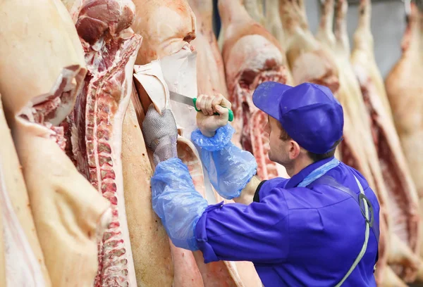 Macellaio taglio di carne di maiale presso la produzione di carne . — Foto Stock