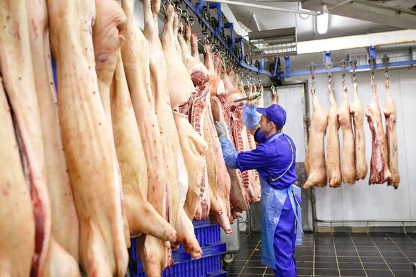 Découpe de porc au boucher lors de la fabrication de viande . — Photo