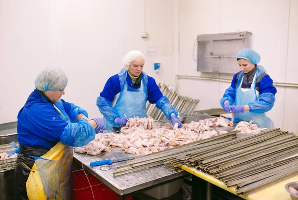 Trabajadores que trabajan en una planta de carne de pollo — Foto de Stock