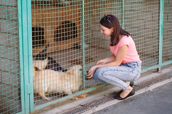 Girl volunteer in the nursery for dogs. Shelter for stray dogs. — Stock Photo, Image