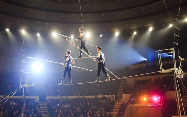 Caminantes de cuerda floja sin miedo en la arena del circo . — Foto de Stock