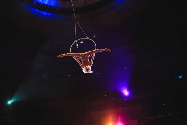 Acróbata aérea en el ring. Una chica joven realiza los elementos acrobáticos en el anillo de aire . — Foto de Stock