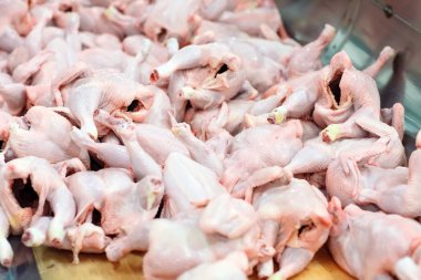 Et fabrikası. Konveyör bant üzerinde tavuk