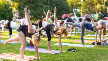 Büyük bir grup yetişkin parkta yoga dersine katılıyor.