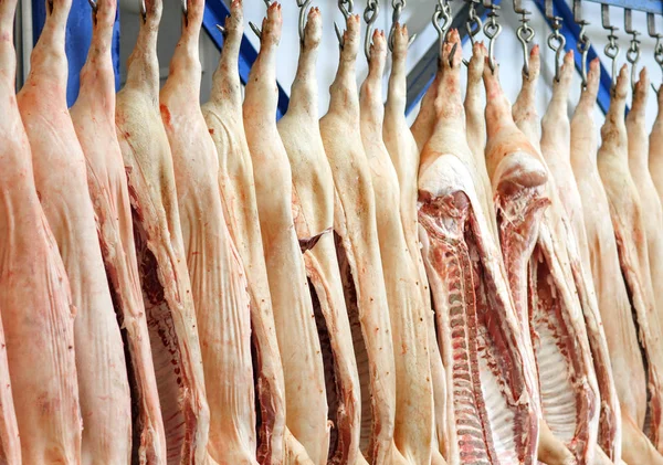 Cadenas de cerdo cortadas por la mitad almacenadas en la sala de refrigeración de la planta de procesamiento de alimentos . — Foto de Stock