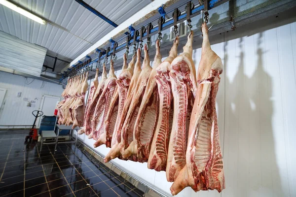 Свиные туши, разрезанные пополам, хранятся в холодильной камере завода по переработке продуктов питания — стоковое фото