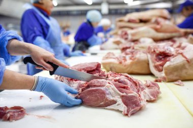 Mezbahada et kesmek. Kasap et üretiminde domuz kesme.