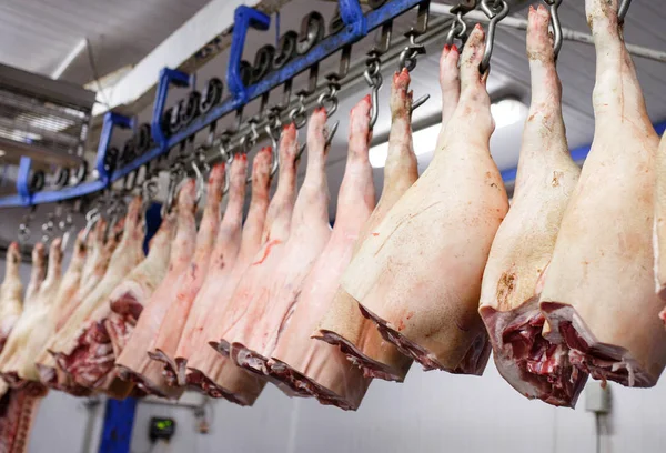 Cadenas de cerdo cortadas por la mitad almacenadas en la sala de refrigeración de la planta de procesamiento de alimentos — Foto de Stock