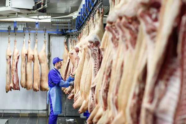 Carnicero cortando carne de cerdo en la fabricación de carne . — Foto de Stock